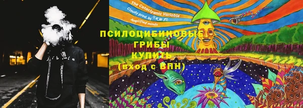 прущий лед Абаза
