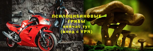 прущий лед Абаза